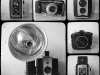 Camera family